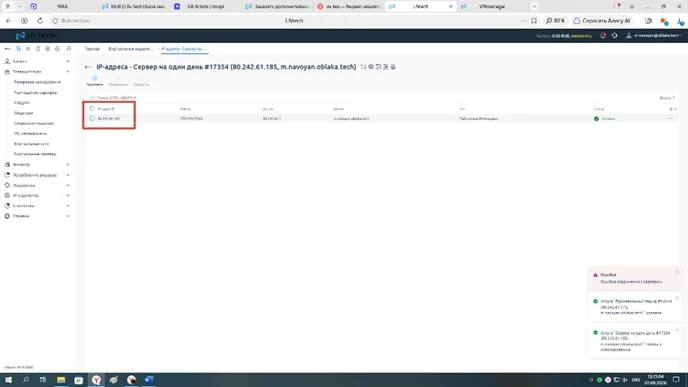 Скрин 6. Список IP-адресов VPS.